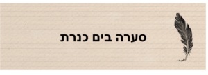 סערה בים כנרת